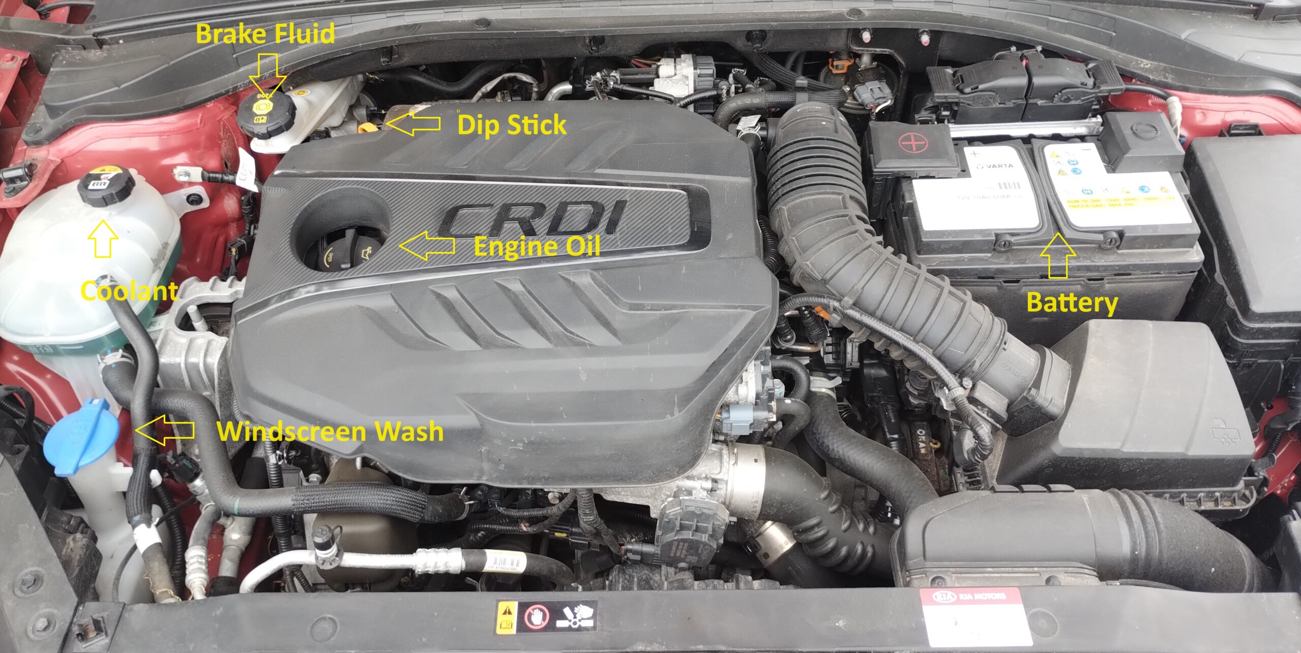 Car engine bay showing labeled components including oil dipstick, coolant reservoir, brake fluid, and other essential engine parts for driving test inspection